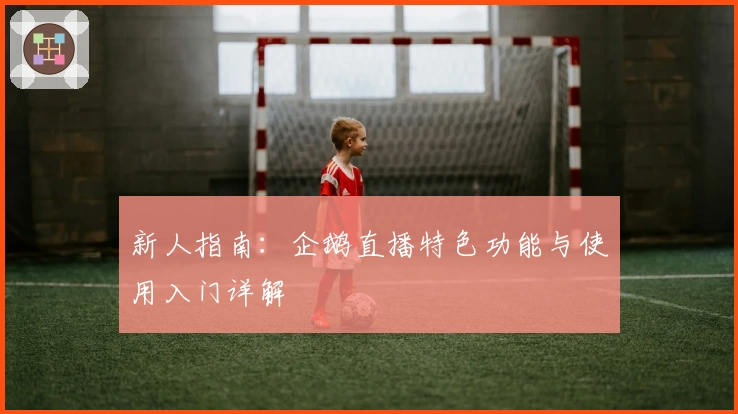 新人指南:企鹅直播特色功能与使用入门详解