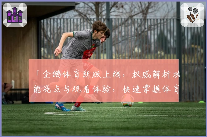 「企鹅体育新版上线,权威解析功能亮点与观看体验,快速掌握体育迷必备平台」