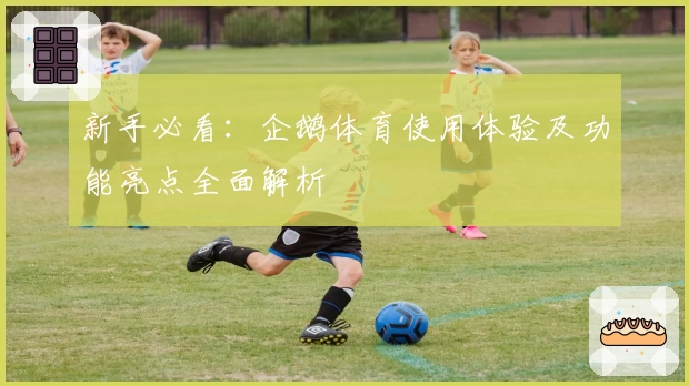 新手必看：企鹅体育使用体验及功能亮点全面解析