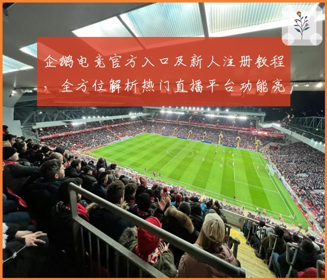 企鹅电竞官方入口及新人注册教程，全方位解析热门直播平台功能亮点