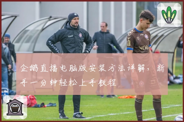 企鹅直播电脑版安装方法详解，新手一分钟轻松上手教程