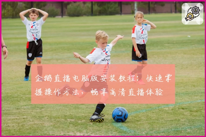 企鹅直播电脑版安装教程：快速掌握操作方法，畅享高清直播体验