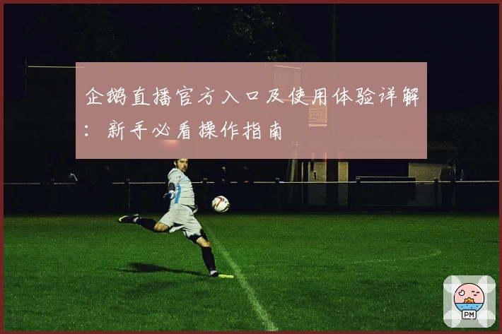 企鹅直播官方入口及使用体验详解：新手必看操作指南