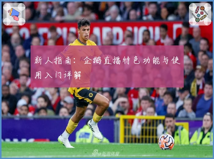 新人指南：企鹅直播特色功能与使用入门详解