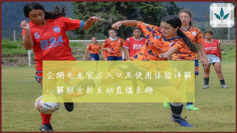 企鹅电竞官方入口及使用体验详解，解锁全新互动直播乐趣